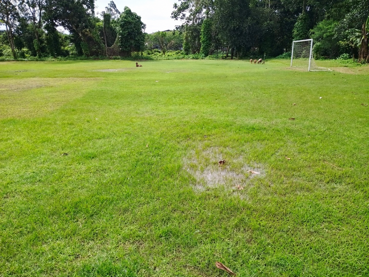 LOKASI LATIHAN SSB CIKOKOL UNITED